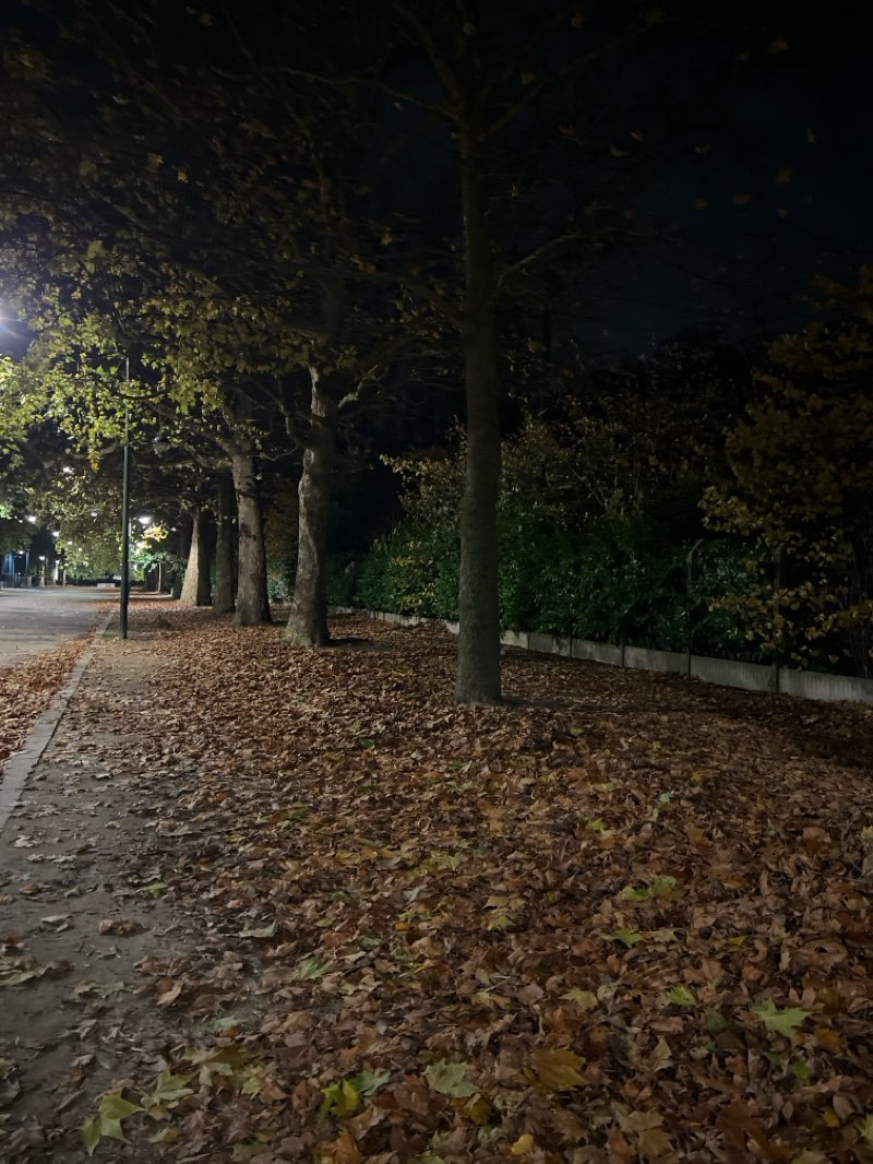 walking near me in Parc d'Osseghem - Ossegempark in winter