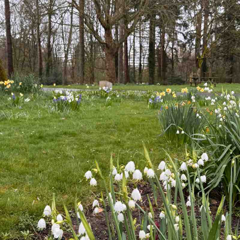 ⛓️‍💥Amira⛓️‍💥 post 1