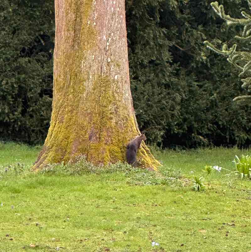 ⛓️‍💥Amira⛓️‍💥 post 3