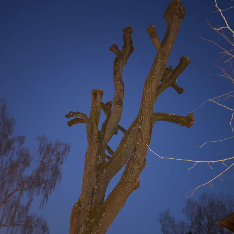 ⛓️‍💥Amira⛓️‍💥 post 1