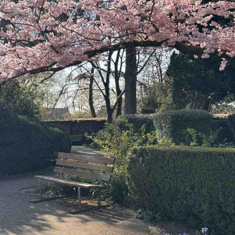 ⛓️‍💥Amira⛓️‍💥 post 2