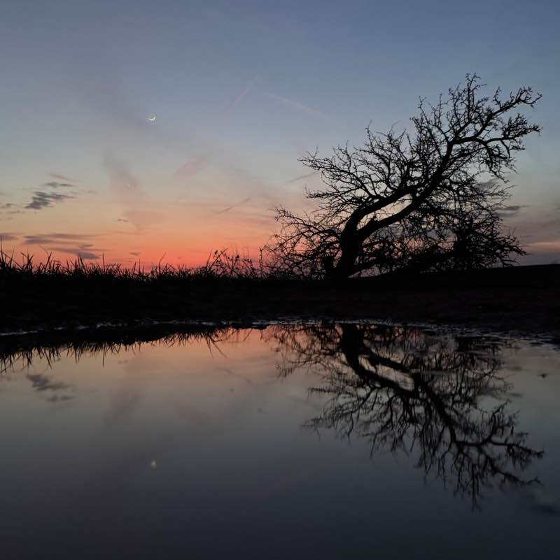 ⛓️‍💥Amira⛓️‍💥 post 1