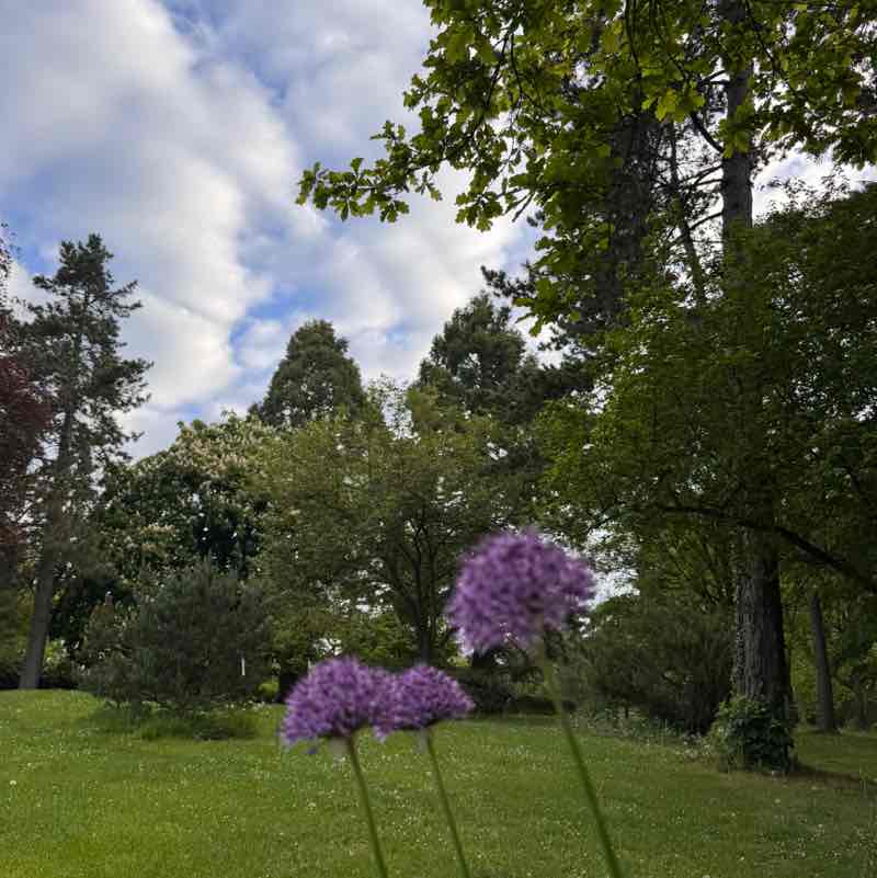 ⛓️‍💥Amira⛓️‍💥 post 1