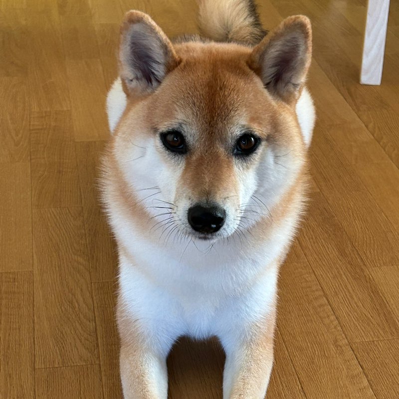 どんぐり🐿☘️ profile