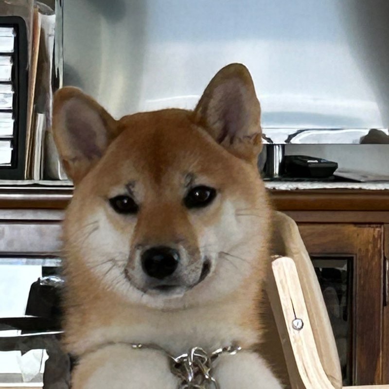 どんぐり🐿🍀