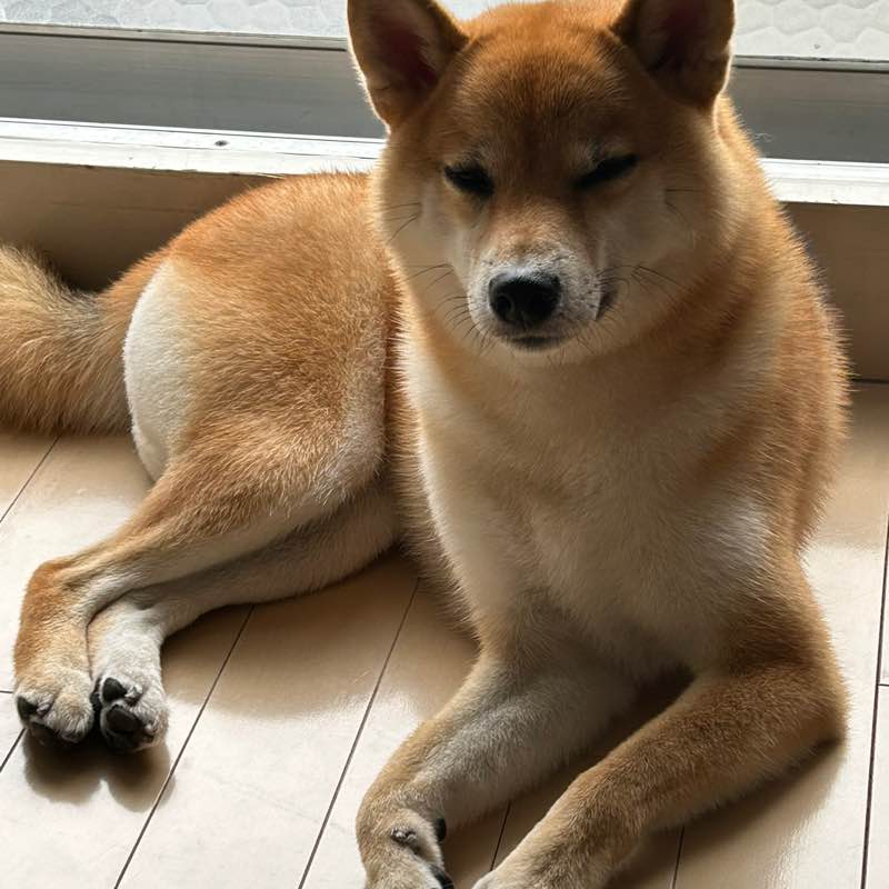 hitomi.😊のグループ どんぐり🐿☘️ post image