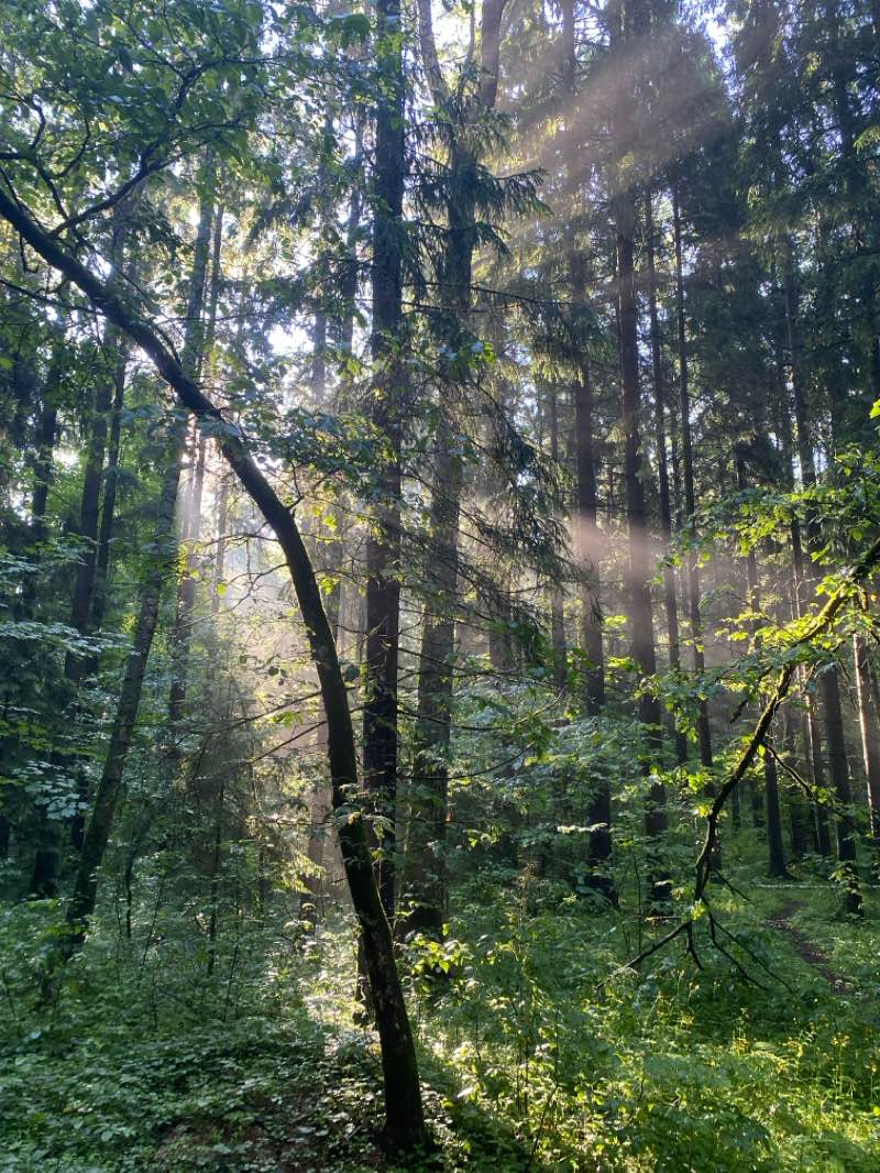 walking near me in Парк 40-летия Победы in winter