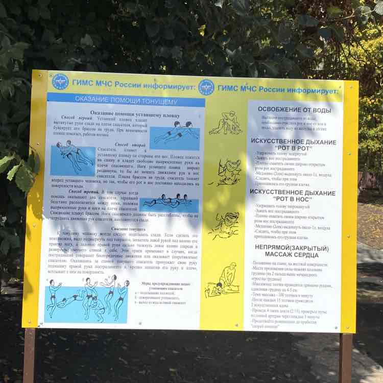 🐯Nellya🐯 post 2