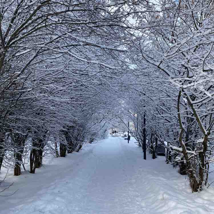 🐯Nellya🐯 post 1