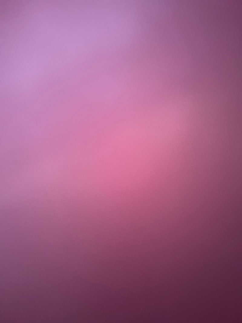 walking near me in Fonthill Park in spring