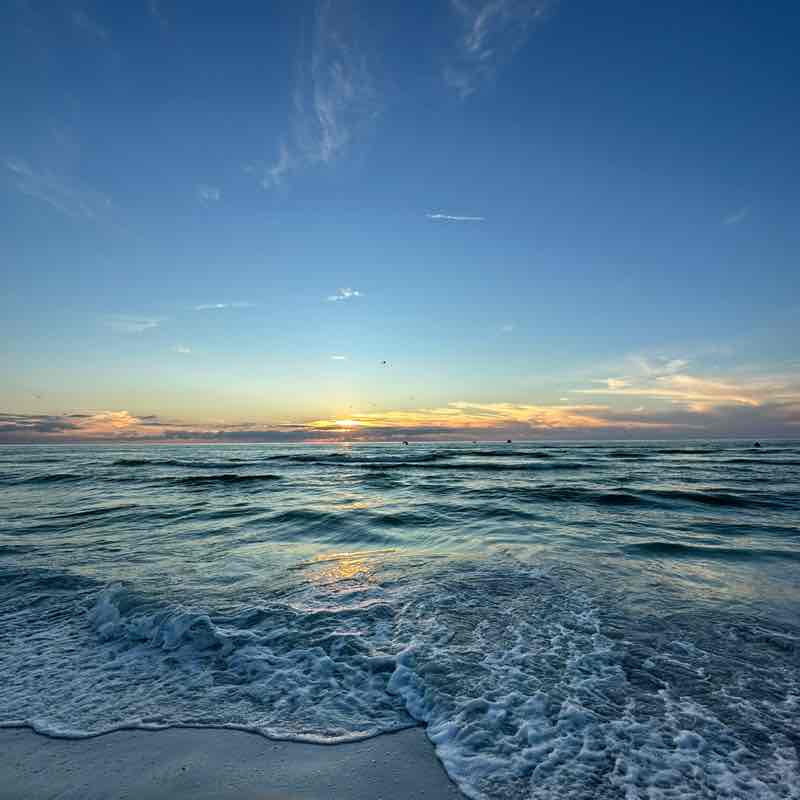 💎🐎✨Space Fam 🎯👣🌷🎶💫🍀 Douglas B. post image