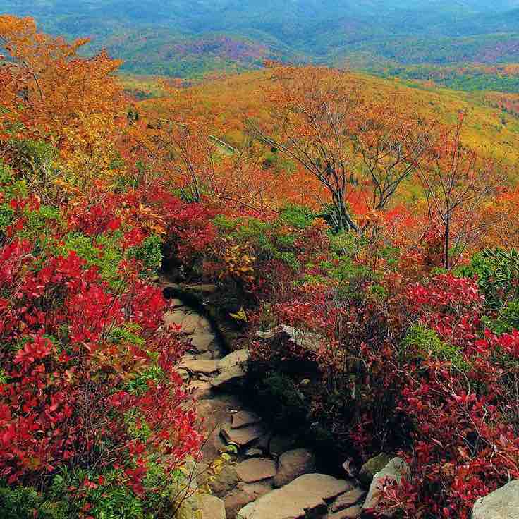 Appalachian Trail Joe post image