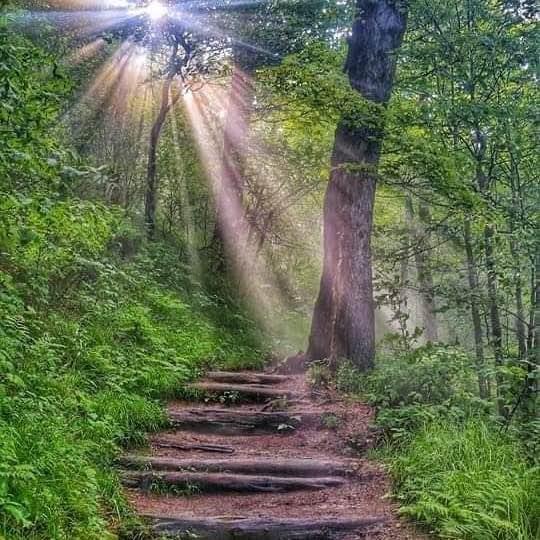 Appalachian Trail Joe post image