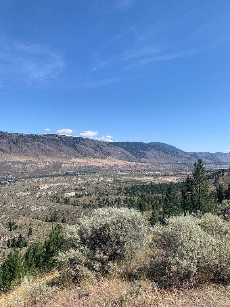 walking near me in Waterfront Park in winter