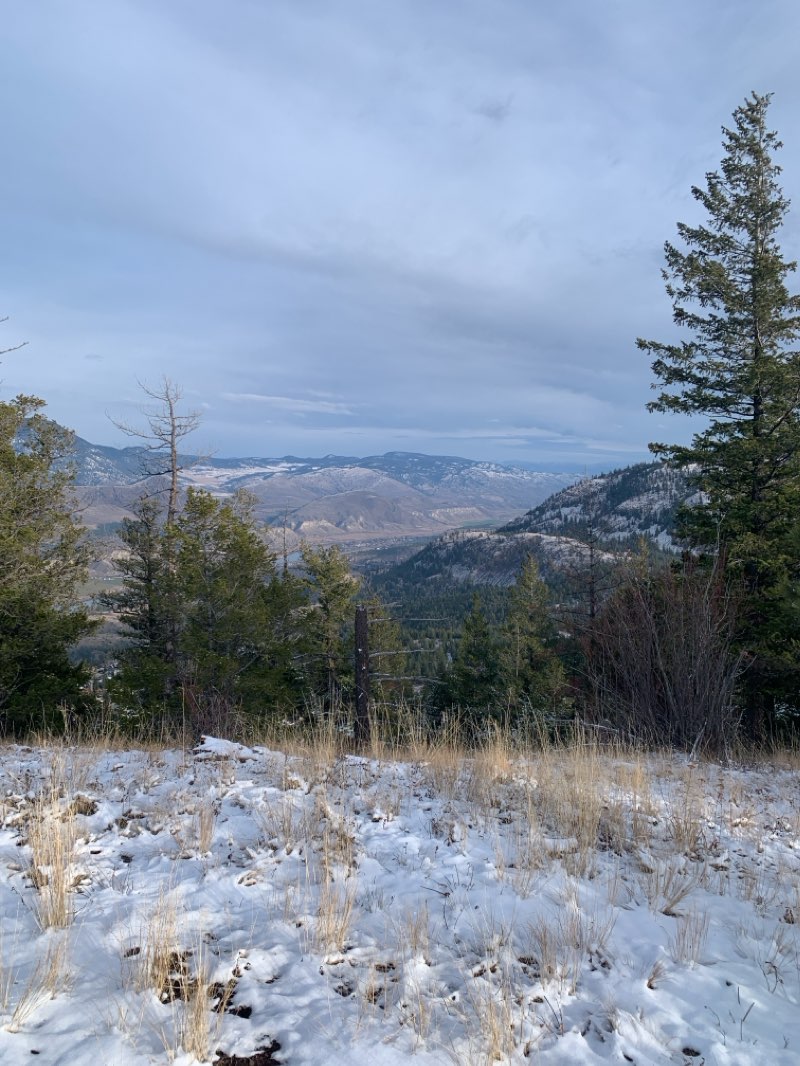 walking near me in Valleyview Nature Park in autumn