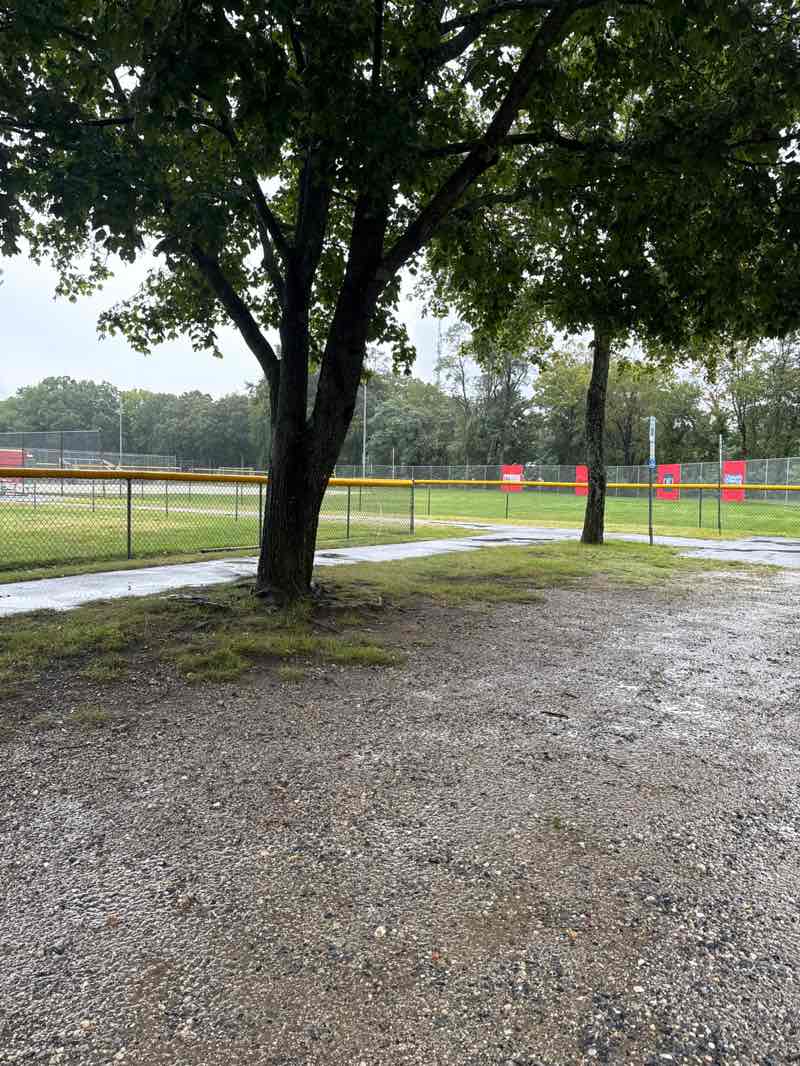 walking near me in Birch Grove Park in autumn