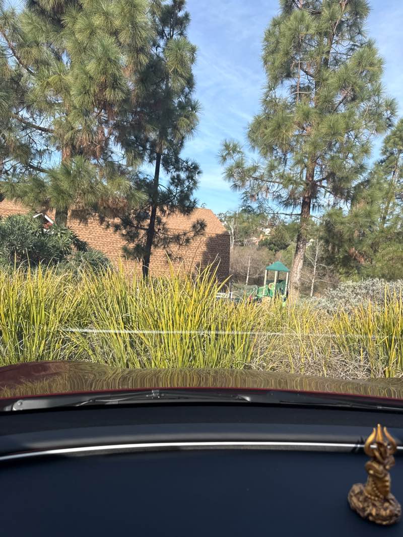 walking near me in Jack's Pond Park in winter