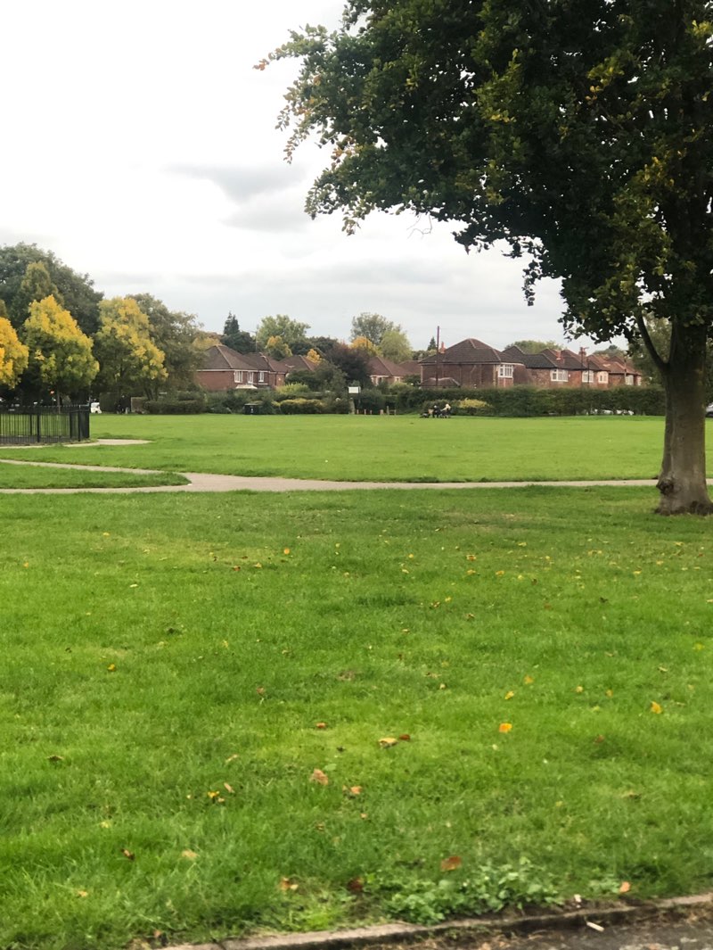 walking near me in Timperley Green in autumn