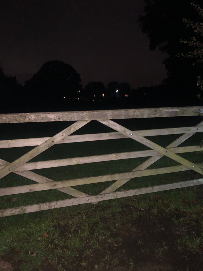 walking near me in The Temp in autumn