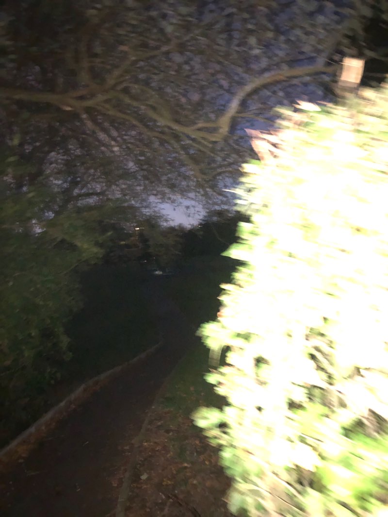 walking near me in Devonshire Park in autumn