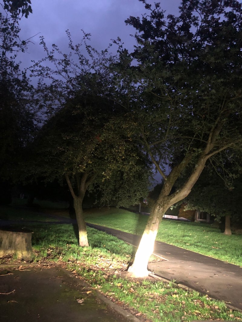 walking near me in South Park in autumn