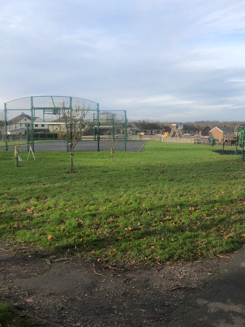 walking near me in Robin Lane Park, Lyme Green in winter