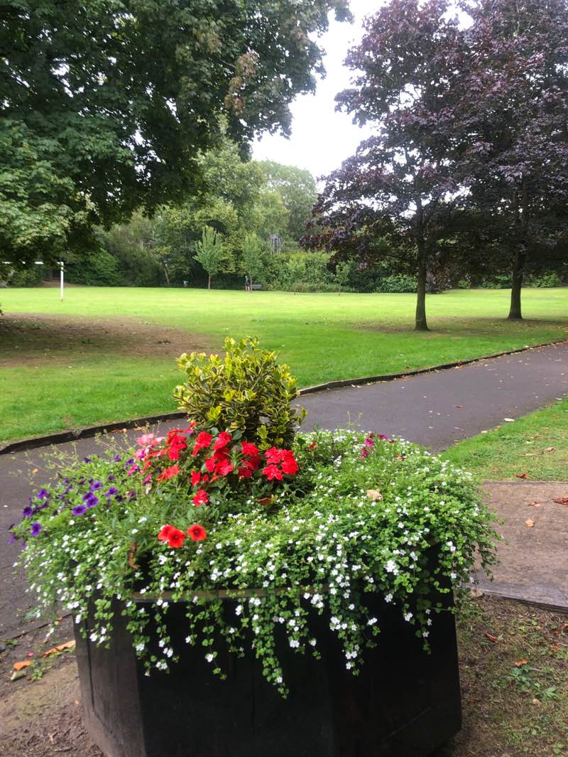 walking near me in Alderley Edge Park in autumn