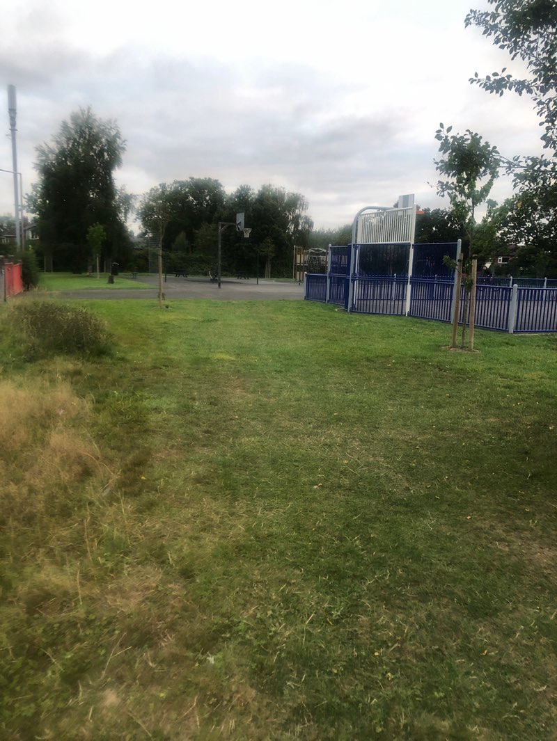 walking near me in Thorn Grove Park in autumn