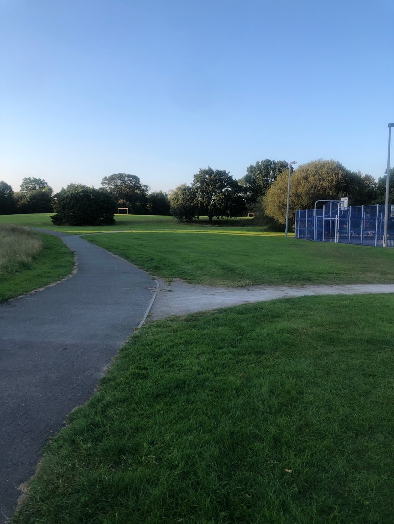 walking near me in Stanley Hall Park in autumn