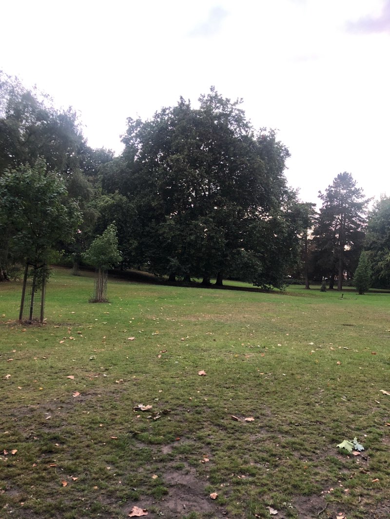 walking near me in Springbank Park in autumn