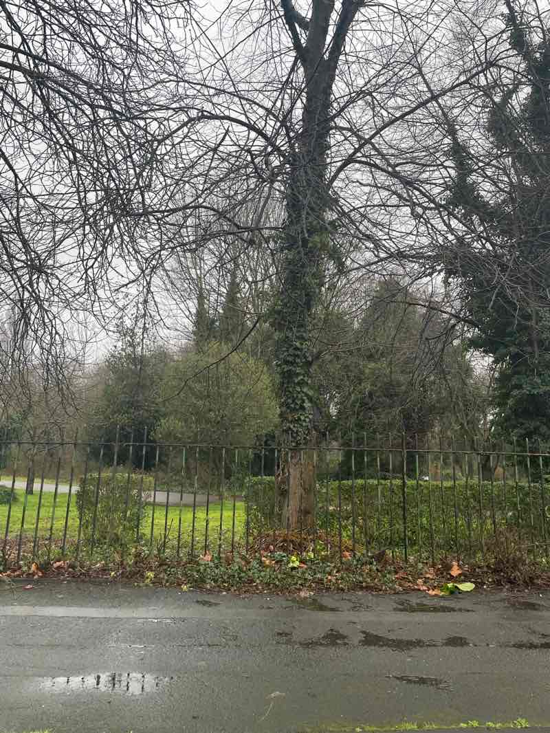 walking near me in Birchfields Park in winter