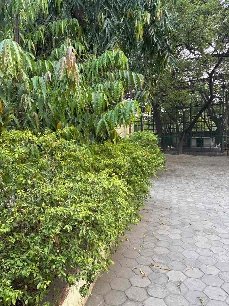 walking near me in VOC Park in autumn