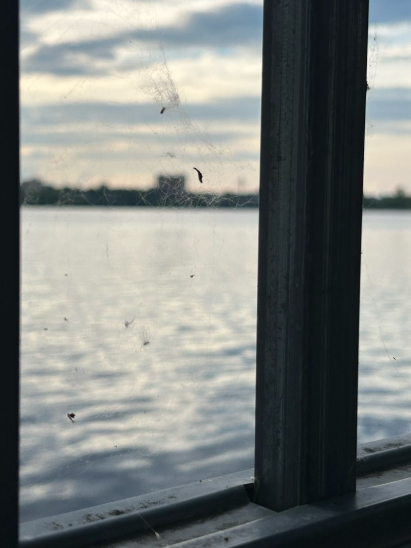 walking near me in Parc-nature de l'Île-de-la-Visitation in winter