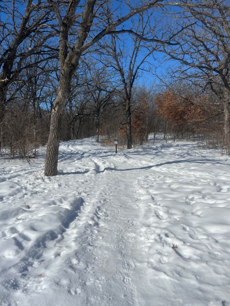 walking near me in Sauk River Regional Park in winter
