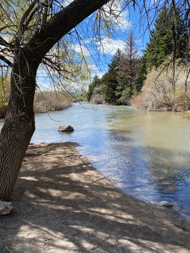 walking near me in Ray Hugie Hydro Park in winter