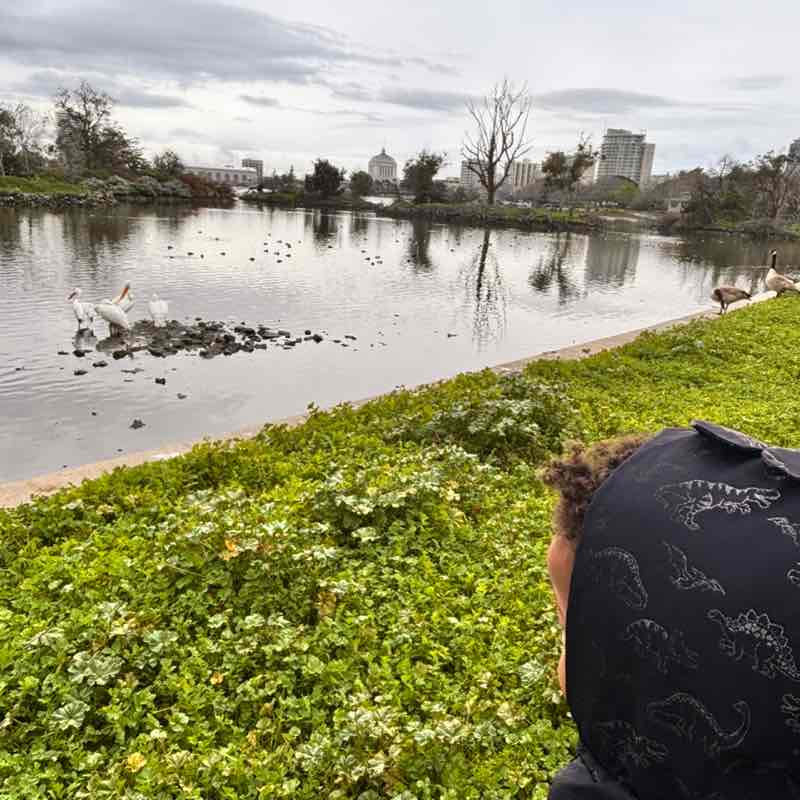 ciara.lachaux post 1