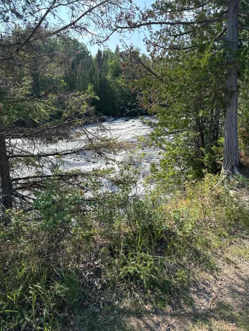 walking near me in Boulevard in autumn