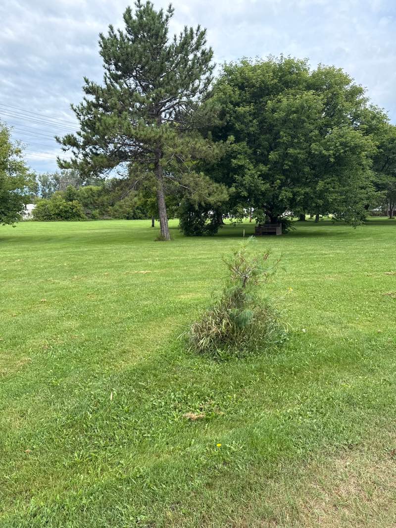 walking near me in Alma Adair Park in autumn