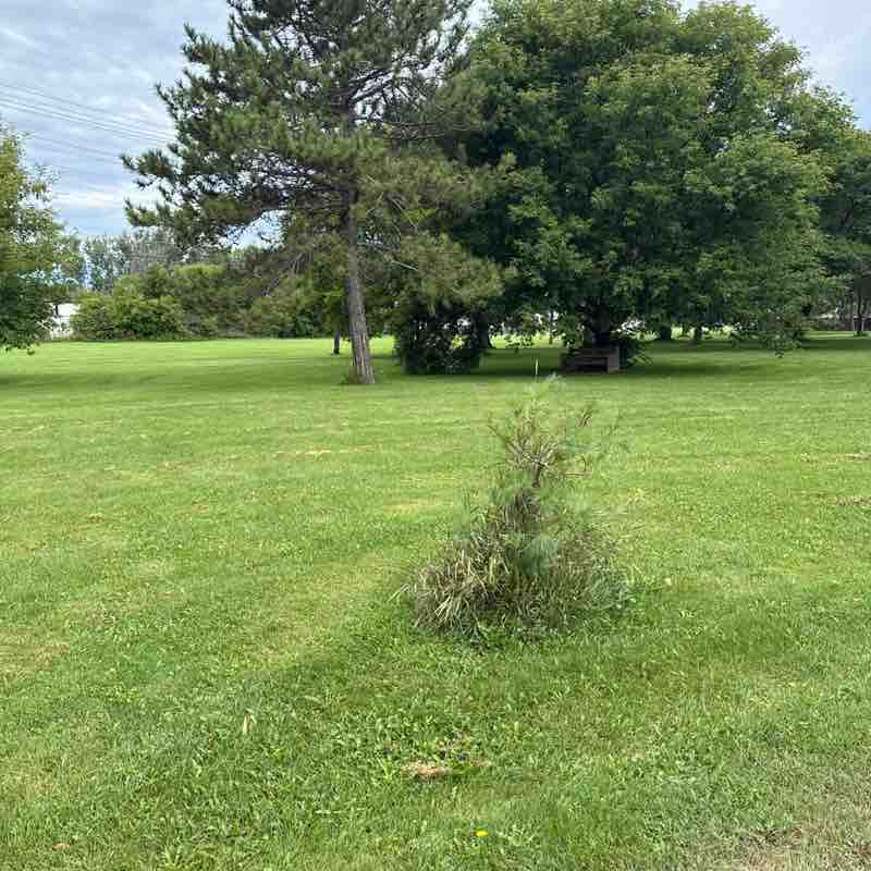 Ralph Bekintisa post 1