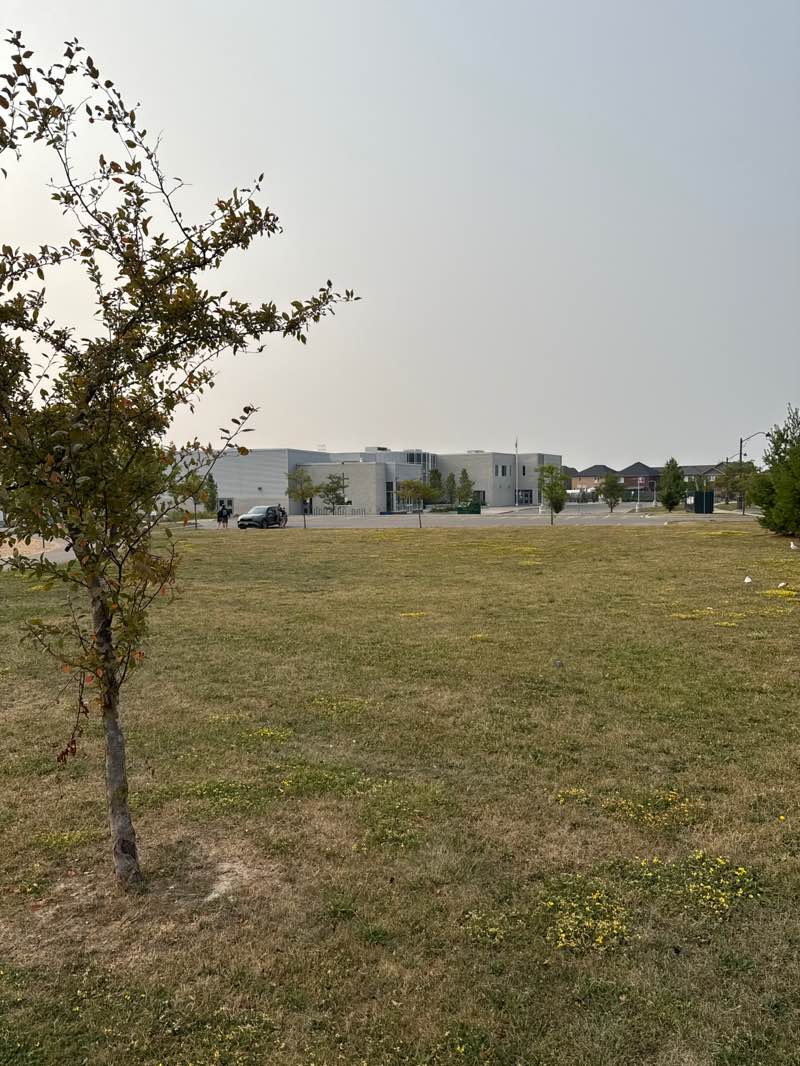 walking near me in Gulfstream Park in autumn