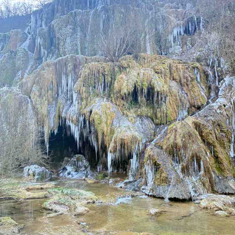 Os peregrinos laetitia post image