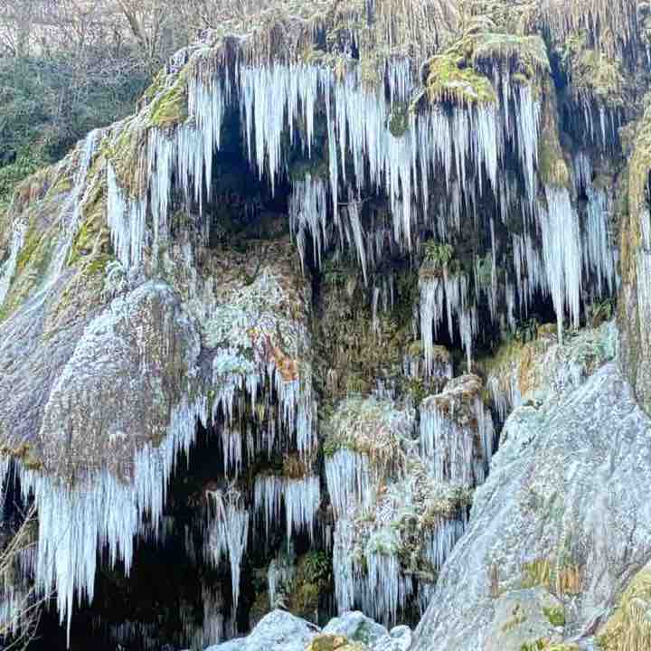 Os peregrinos laetitia post image