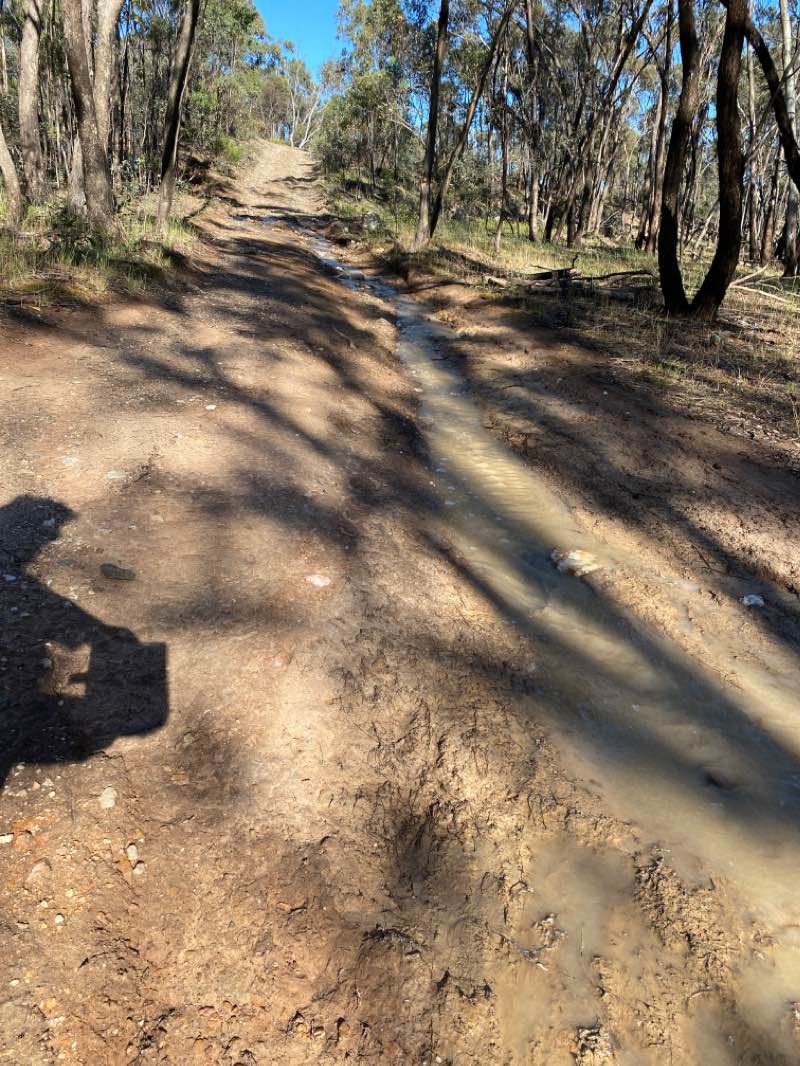 walking near me in St Arnaud Regional Park in summer