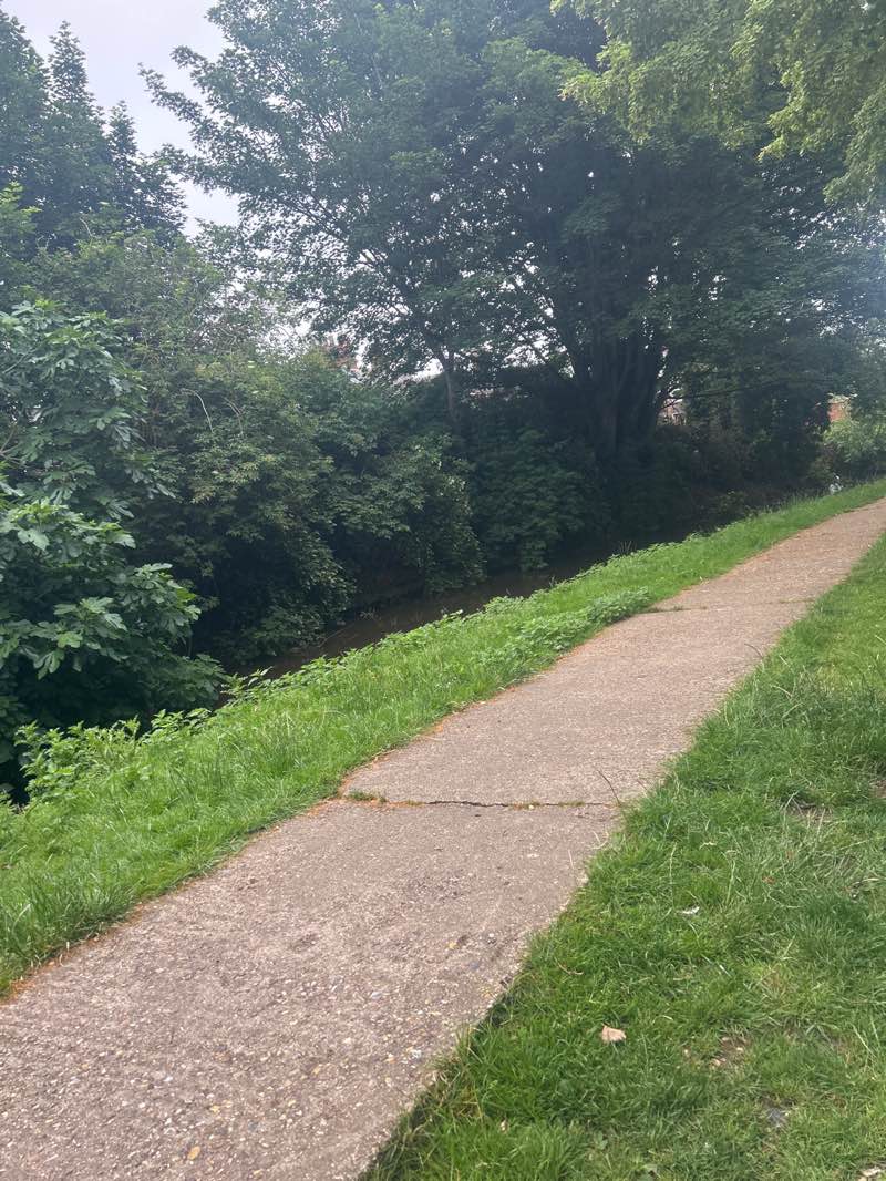 walking near me in Kettlewell Lane Park in summer