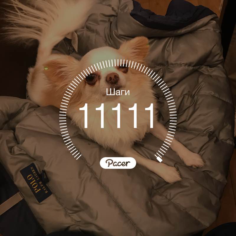 🚶🏽‍♂️ post 1