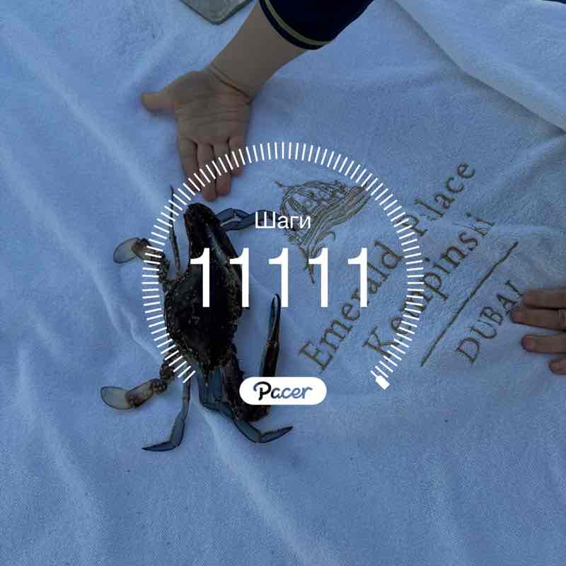 🚶🏽‍♂️ post 1