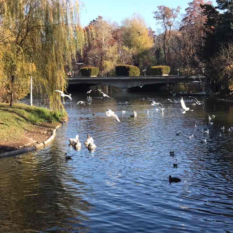 Flavius Bratucu 🏃🏻‍♂️ 🇹🇩 post 3