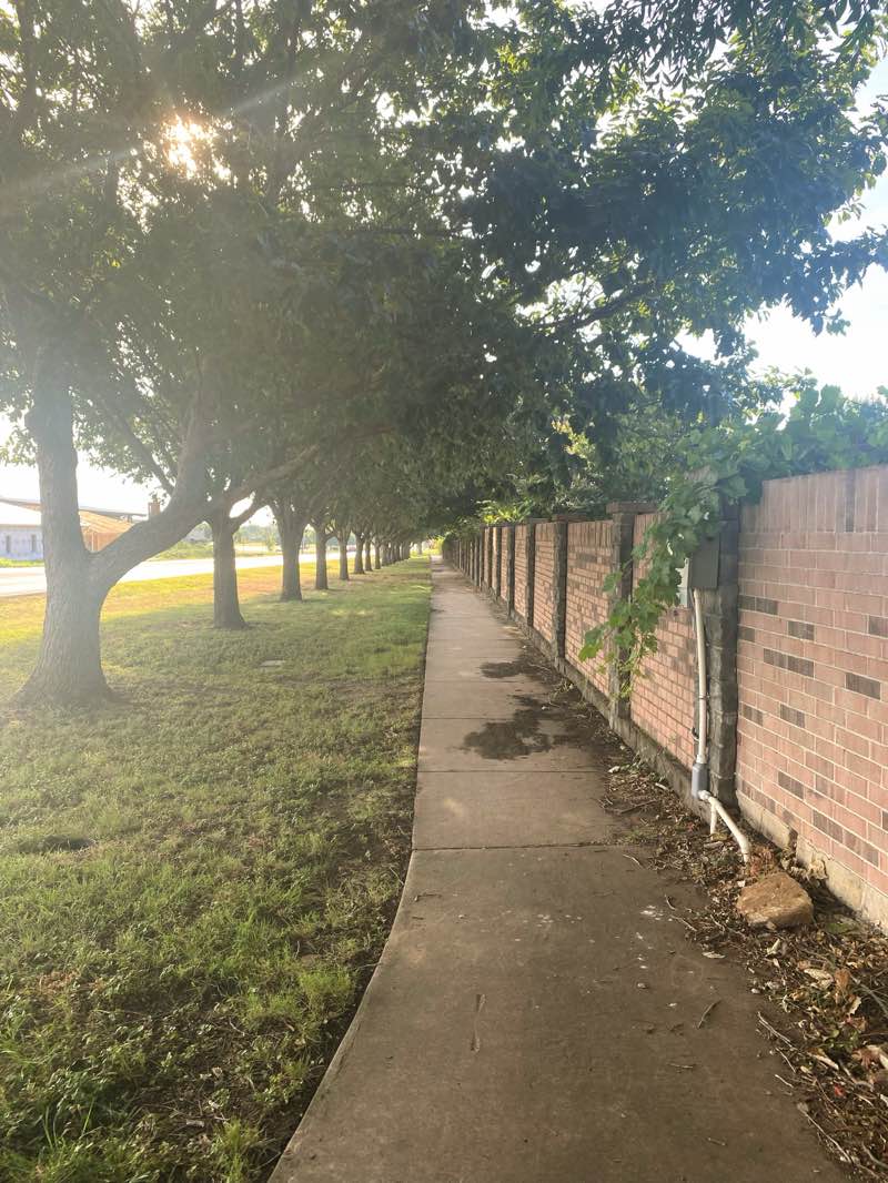 walking near me in Willow Creek Park in winter