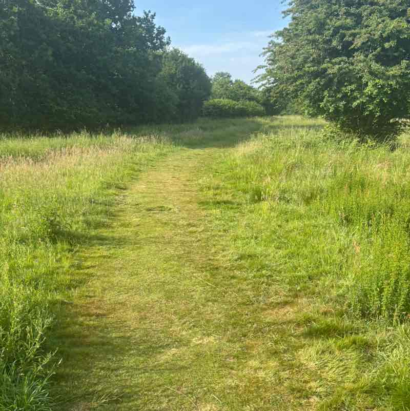 Orbital Leia post image