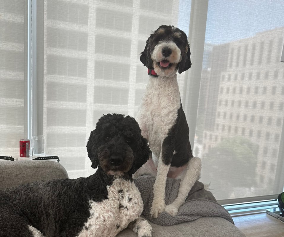 Sydney.Strenja profile